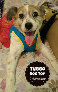 Tuggo Dog Toy Giveaway | Mommy Runs It #2014HGG