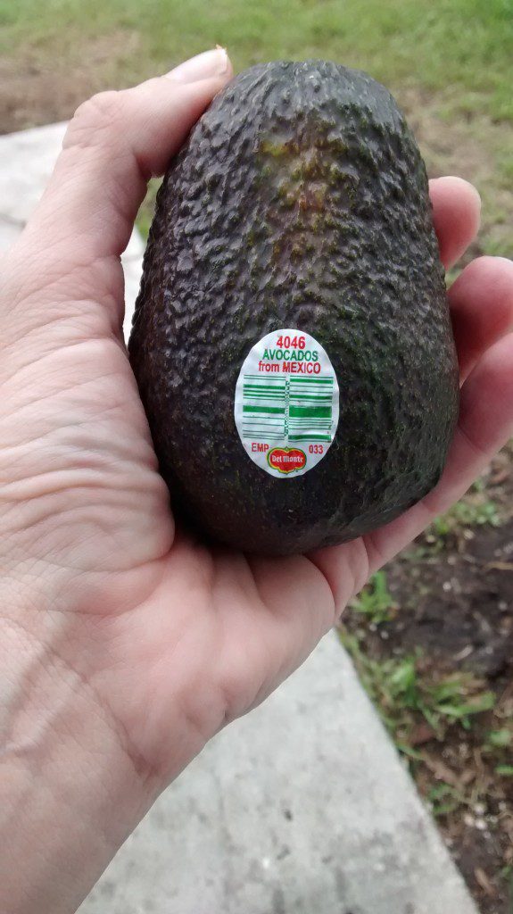 Choosing the Perfect Avocado for Your DIY Taco Bar + $10 PayPal Giveaway | #PublixFiesta #ad | Mommy Runs It