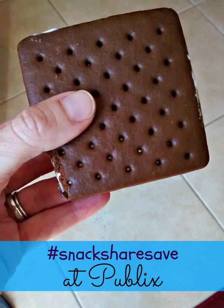 Grab-and-Go Snacks from Publix + PayPal #Giveaway #snacksharesave #ad | Mommy Runs It